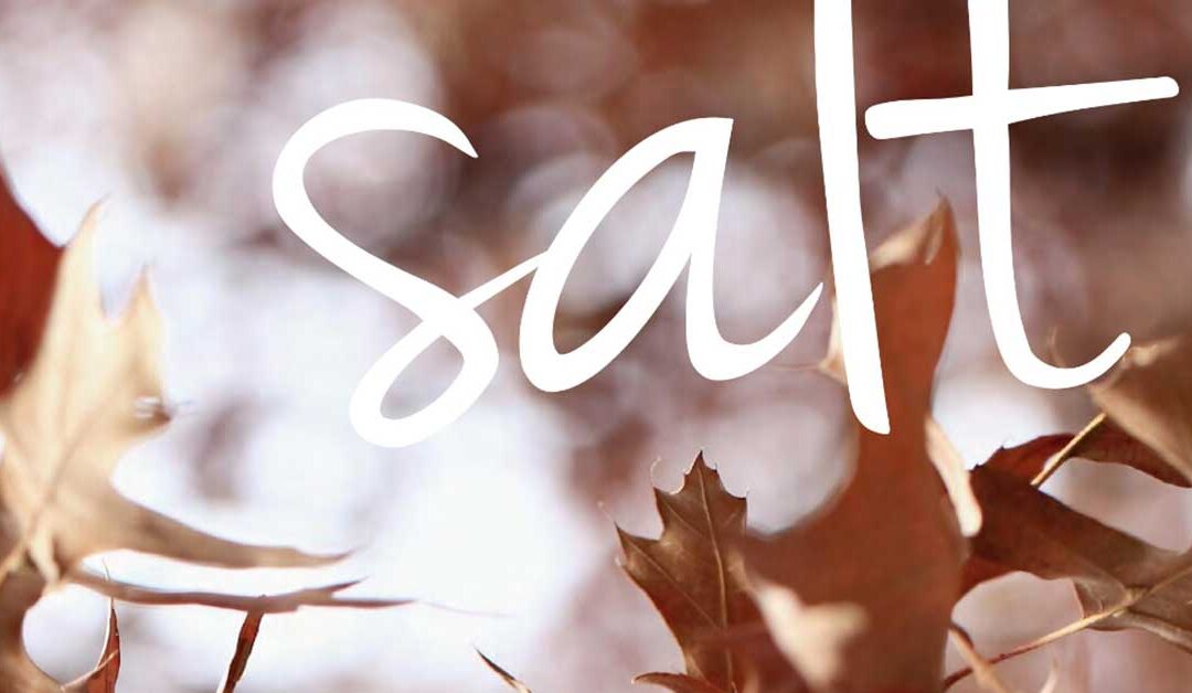 Salt Magazine – Autumn 2023