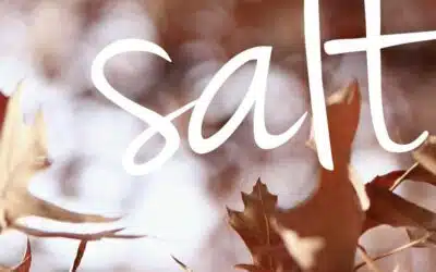 Salt Magazine – Autumn 2023