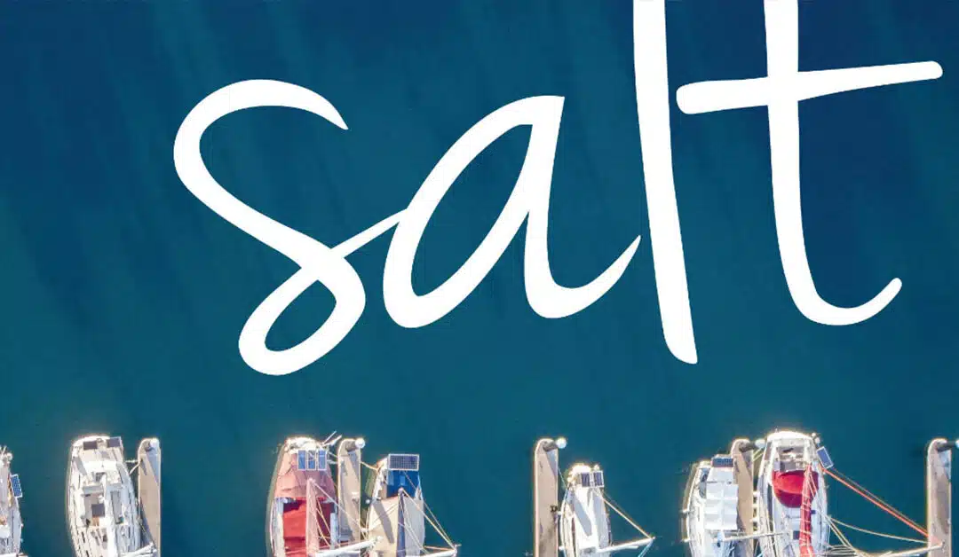 Salt Magazine – Winter 2023
